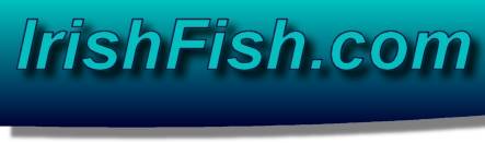 Irish Fish.com - Fish, recipes, Fishing and Boats in Ireland